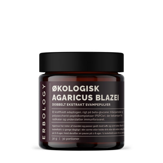 Økologisk Agaricus Blazei  - Ekstrakt | Nordic Health