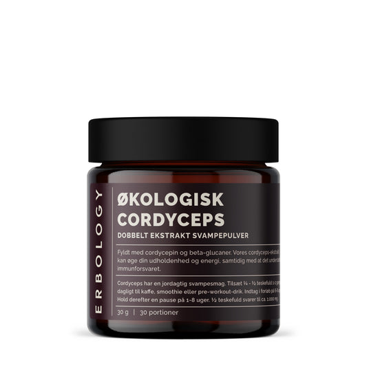 Økologisk Cordyceps Ekstrakt | Energi & Udholdenhed