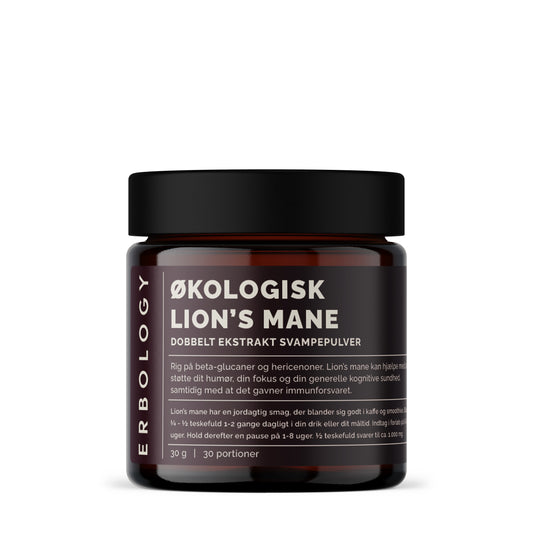 Økologisk Lion’s Mane Ekstrakt | Fokus & Kognition