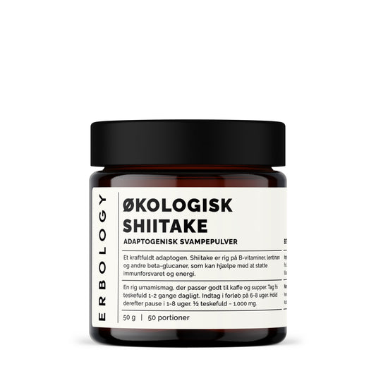 Økologisk Shiitake Pulver | Adaptogen til Immunforsvar & Energi