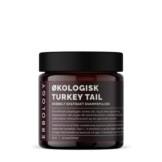 Økologisk Turkey Tail Ekstrakt | Immunforsvar & Tarm