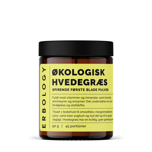 Økologisk hvedegræs pulver | Wheatgrass detox – Nordic Health